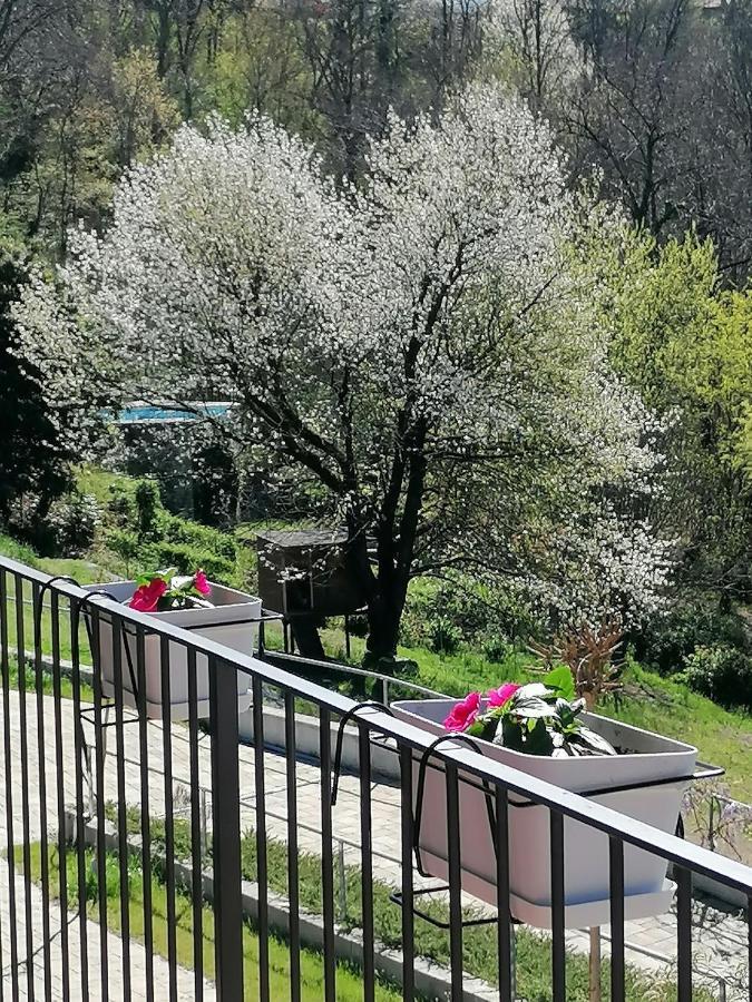 Bed and Breakfast Il Ciliegio Di Zoe Cerro  Esterno foto